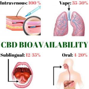 CBD Bioavailabilty