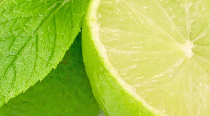 Featured CBD Terpenes: Limonene